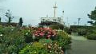 バラの花が満開