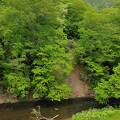 八雲温泉　おぼこ荘