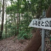 宮路山山頂から行ってみた