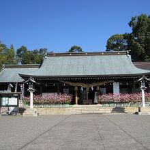 こちらで参拝します