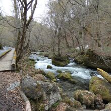 奥入瀬渓流遊歩道