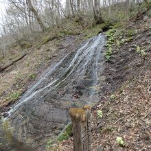 奥入瀬渓流玉簾の滝