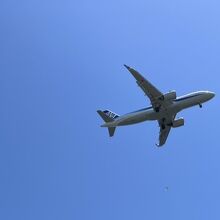 公園から見た飛行機