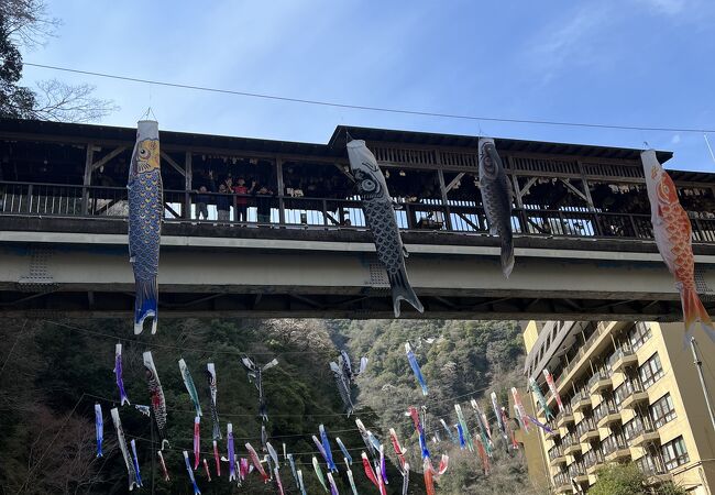 黒川温泉 杖立温泉の祭り イベント クチコミ人気ランキング フォートラベル 熊本県