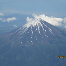 姿が美しいです