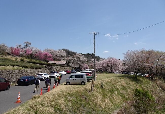 ピーク時には駐車場待ち