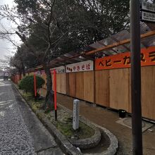 鶴山公園のさくらまつり