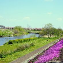 鶴見川サイクリングコース