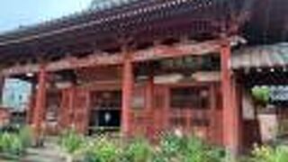 紫陽花が綺麗でした。