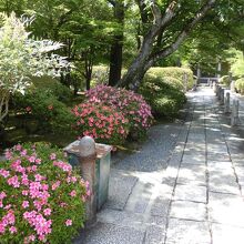 広隆寺の庭