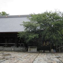 境内はこんな感じ