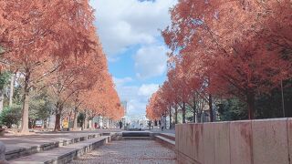 1日遊べる大型総合動植物園