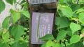 雑草の中にあった標識