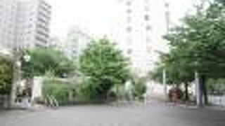 ソメイヨシノの木が。