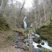 落差20奥入瀬渓流の中間mの水量多い滝