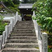 花の寺