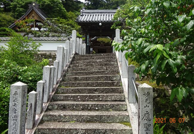 花の寺