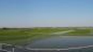 水のはった水田がとてもきれいでした。