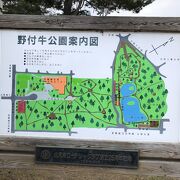 街中にありながら緑の多い広い公園