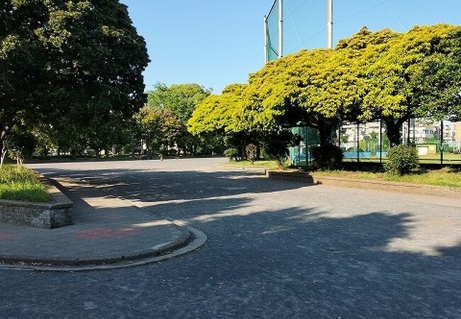 住宅街に広大な公園