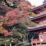 三室戸寺の秋