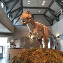 肉食恐竜ティラノサウルスが吠えながら迎えてくれる。