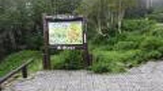 爽快な気分になりました