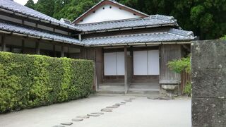 見ごたえありです