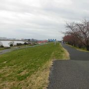 荒川の河川敷