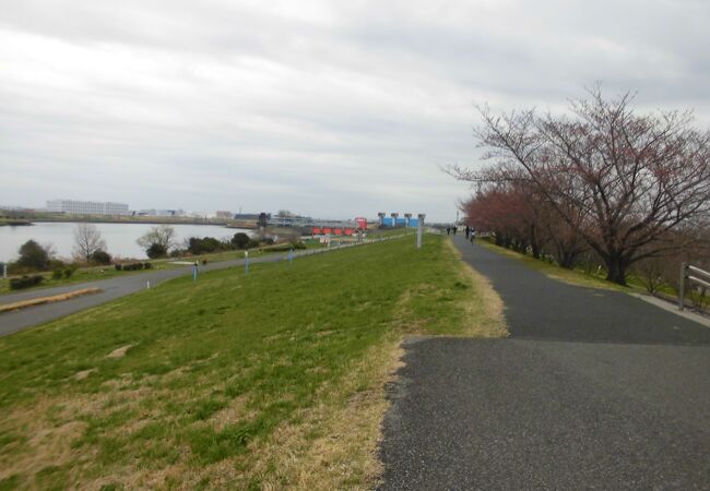 荒川の河川敷