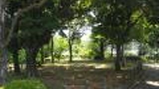 小高い丘にある