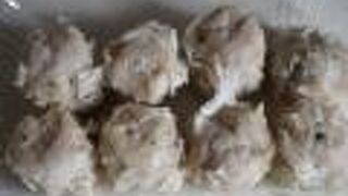 シューマイをテイクアウト