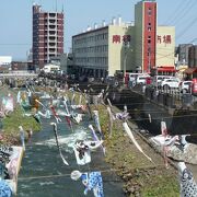 市場の基本は対面販売から　～　南樽市場