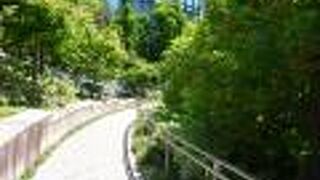 緑が多い都会のオアシス。