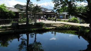 平日でもにぎわっていました