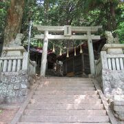 諏訪大社を本社とする神社で、新しい御柱が立っていました