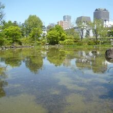 檜町公園の中心の池です。六本木や赤坂の憩いの場となっています