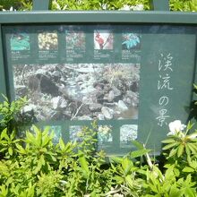 檜町公園には、多くの渓流が見られ、緑の樹々の間を流れます。