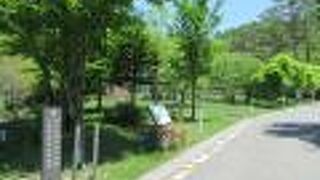 力強さと優しさが感じられる作品ばかりです