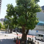 神田駿河台の歴史ある神社。