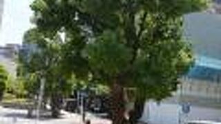 神田駿河台の歴史ある神社。