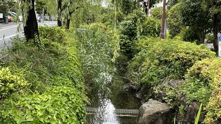 ここで水遊びするのかな？