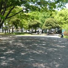 港区立青葉公園に隣接する都立青山公園の北地区の様子です。