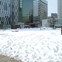 きれいな雪原になっていました