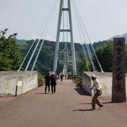 観光用の大吊り橋