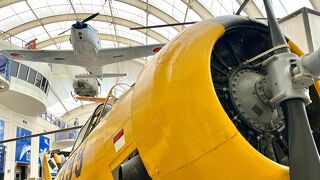 大人も十分に楽しめます