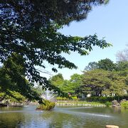 故郷の風景