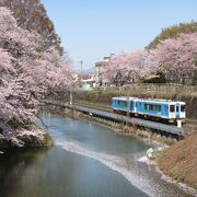 桜の名所、寒河江公園までの足に