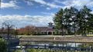 庭から景色が素敵