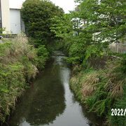 鎌倉市内の東側を北から南に流れています。